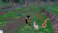 5/8: Return to the second bridge and stand so it’s behind you. Follow the path in front, as it goes around. Count the Pokémon along the way. When you go past the 3rd Pokémon, look around the right. It’s before some red flowers.