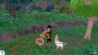 7/8: From Diglett 6, go towards the tall grass just ahead and turn right, where the berry tree is. It’s hiding in the middle of the red flowers to the left of the berry tree.