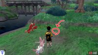 8/8: From Diglett 7, head for the riverbank, where there’s a view of the first bridge. The final Diglett is located below a small bush that’s next to the raised, inaccessible land (near the bridge).