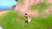 1/9: Starting from the Forest of Focus entrance, go forwards towards the rocky hill. It’s hiding around the back of this hill, near some pebbles.