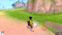 7/9: From Diglett 6, with your back to the river, head for the shoreline. When you reach the shoreline, turn left and follow it to the end. Number 7 is hiding at the edge of the shore, near the grassy region.