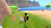 8/9: From Diglett 7, turn so the ocean is behind you. In front of you, there should be a rocky hill. Go up to the hill and look around towards the left. It’s hiding near some pebbles.