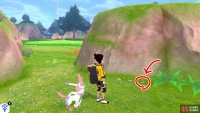 9/9: From Diglett 8, turn so the ocean is on your right. Go forward, stopping before the tall grass. Now turn left. The final Diglett is sat in-between some pebbles and greenery in front of the rocky hill that’s ahead.