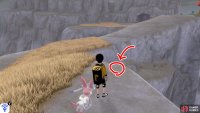 2/8: From the lowlands entrance, go up both flights of stairs. When you reach the crossroad, go straight ahead. Walk around to the back of the tall, yellow grass. It&rsquo;s by the cliff edge, facing the lowlands entrance.