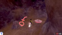 5/7: You’ll need the water-traversing bike for this. Head into the underground stream that’s just ahead. After a while, there’s a place where you can land on the left. It’s behind the rock on the left.