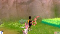 1/7: From the Courageous Cavern entrance, approach the tall grass on the left side. By some pebbles just before the tall grass, near the cliff wall.