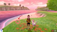 6/7: Swim towards the big island in the centre of the lagoon. You can find a shore to land on in the direction of the ocean. After reaching the shore, go up the slope and turn right. It’s located near the red flowers, by the land’s edge.