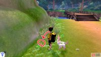 1/15: Starting from the Forest of Focus, immediately after crossing the bridge, it’s hidden near the tip of the first bunch of bushes along the right.