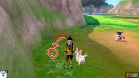 2/15: Turn left from the Forest of Focus entrance. After the small patch of tall grass, it’s burrowed near the cliff wall, before some red flowers.