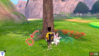 3/15: From Diglett 3, continue forward with the cliff wall on your left. Go past the stretch of tall grass on the left. Ahead, there’s a big tree in front of a lake. Search behind this tree.