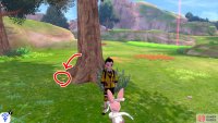 8/15: From Diglett 7, stand with your back facing the ocean. Then go forward, while keeping close to the cliff wall. Go past the Pokémon Den and the tall grass after it. Check the left side of the first tree.