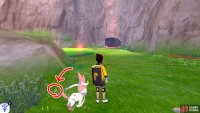 9/15: From Diglett 8, there should be another tree ahead, next to a rocky hill. Head for the right side of the rocky hill. You’ll find it above some shrubbery, past a cluster of 5 pebbles.