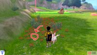 10/15: From Diglett 9, while facing the entrance to Warm-Up Tunnel, look to your right. Go up to the tree that’s just ahead, then turn right. The sneaky little bugger is hidden near the beginning of the red flowerbed.