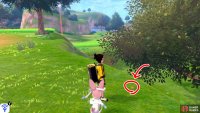 14/15: From the stairs leading to Challenge Road, turn left (while facing the stairs). Then turn right from the nearby tree. The pesky thing is hiding at the edge of the raised land, right next to the tree that’s on lower ground.