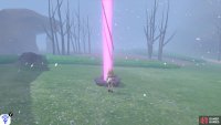 A rare raid.