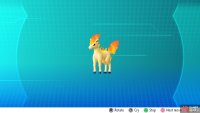 A regular Ponyta (from Let’s Go).