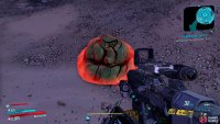 and then search through the poop around the area,