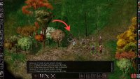 Find Kivan in the High Hedge area.