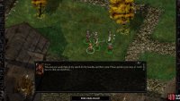 If you delay too long in finding the Bandit Camp, Kivan will express displeasure at your progress
