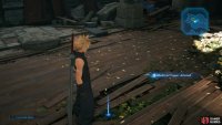 while the Medicinal Flowers can be found in Aerith’s Church.