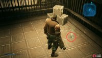 Shoot your way into a cage to find some Ice Materia.