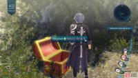 now go to the right side of the path to find the third chest which contains the Nemesis Arrow R.