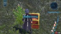 Follow the path around to the right to find a Chest with the Cool Necklace inside