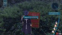 Take the left path to find a Red Chest that has the Coral Bracelet inside