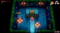 go south from the chest and jump across the gap and follow the room around to the top and destroy the stone blocking another Chest,