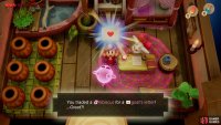 trade your Hibiscus with the person inside for a Goats Letter,