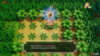 use your Sword to destroy the plants which will reveal a Secret Seashell,