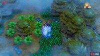 use the powder on the Raccoon in the Mysterious Forest to get past, 