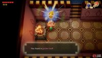 kill the enemy that appears and collect the Golden Leaf, 