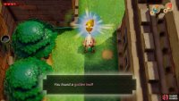 kill it and collect the Golden Leaf that has dropped,