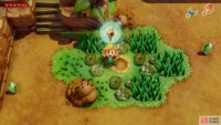 and dig in the center of the grass patch find a Secret Seashell, 