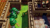 follow the path around and throw a stone at the tree with a bird on top,