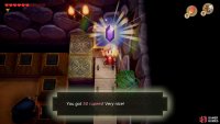 then extend another bridge to open another Chest with a second set of 50 Rupees,