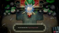 head down it and pay 300 Rupees to learn the Frog’s Song of Soul.