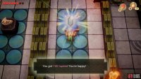 dart around the room and collect 100 Rupees from the Chest,