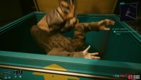 Defeat the enemies in the warehouse - their patrols leave them vulnerable, and there are plenty of dumpsters to hide their bodies in.