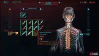 Iconic cyberware - recognizable by its unique icon background - can be upgrade to Tier 5++.