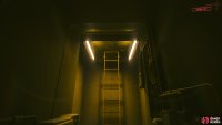 Climb the ladder then head through one of the doors.