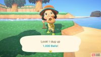 make sure to dig them up to earn some free bells!