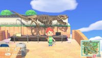 using rope fencing and spare fossils!