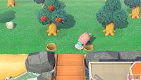 you can use shrubs to decorate your entrance too.