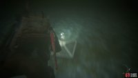 Dive into the pool and grab the Coin