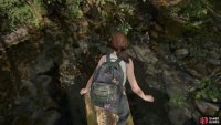 then climb on top of it and dive into the water. 