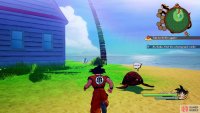 You can find Roshi’s book by the one tree after speaking with Turtle
