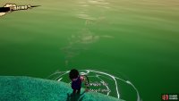 When fishing, look for the larger of the two fish