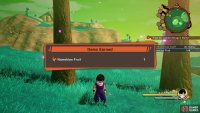One of the locations for the Namekian Fruit